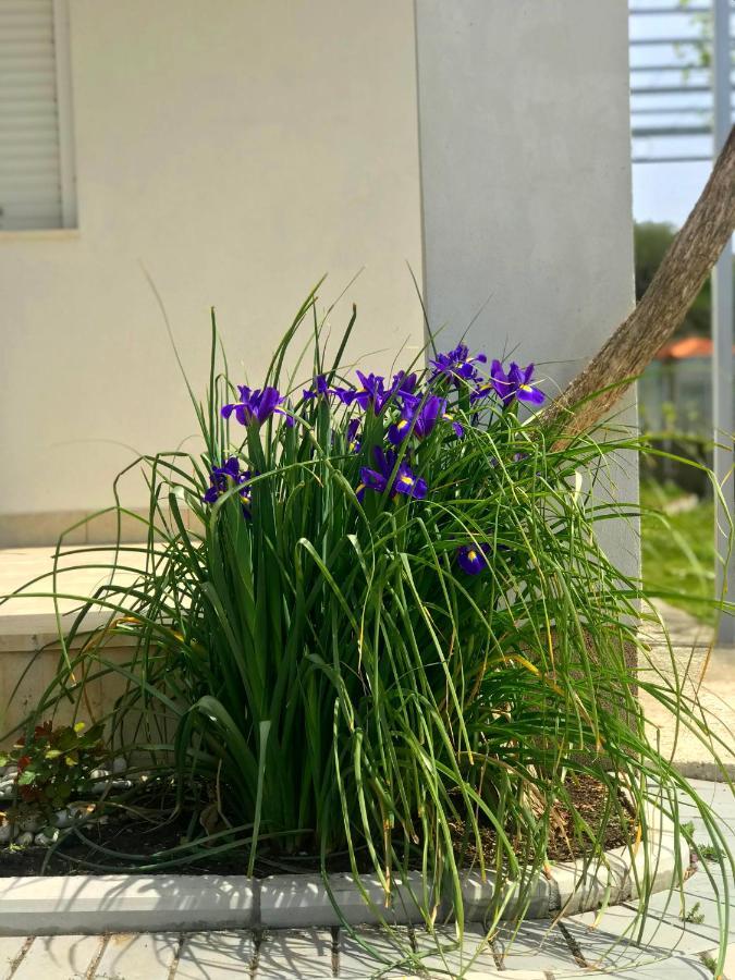 Apartments Kraja Ulcinj Eksteriør billede